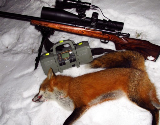 Fox Killing Ways
